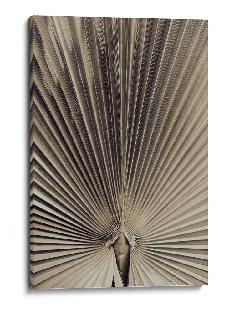 Patrón de hoja de palma natural - Fluidys Studio III | Cuadro decorativo de Canvas Lab