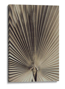 Patrón de hoja de palma natural - Fluidys Studio III | Cuadro decorativo de Canvas Lab