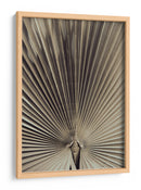 Patrón de hoja de palma natural - Fluidys Studio III | Cuadro decorativo de Canvas Lab
