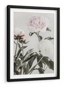 Peonías de color rosa suave - Fluidys Studio III | Cuadro decorativo de Canvas Lab