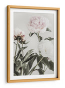 Peonías de color rosa suave - Fluidys Studio III | Cuadro decorativo de Canvas Lab