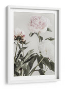 Peonías de color rosa suave - Fluidys Studio III | Cuadro decorativo de Canvas Lab