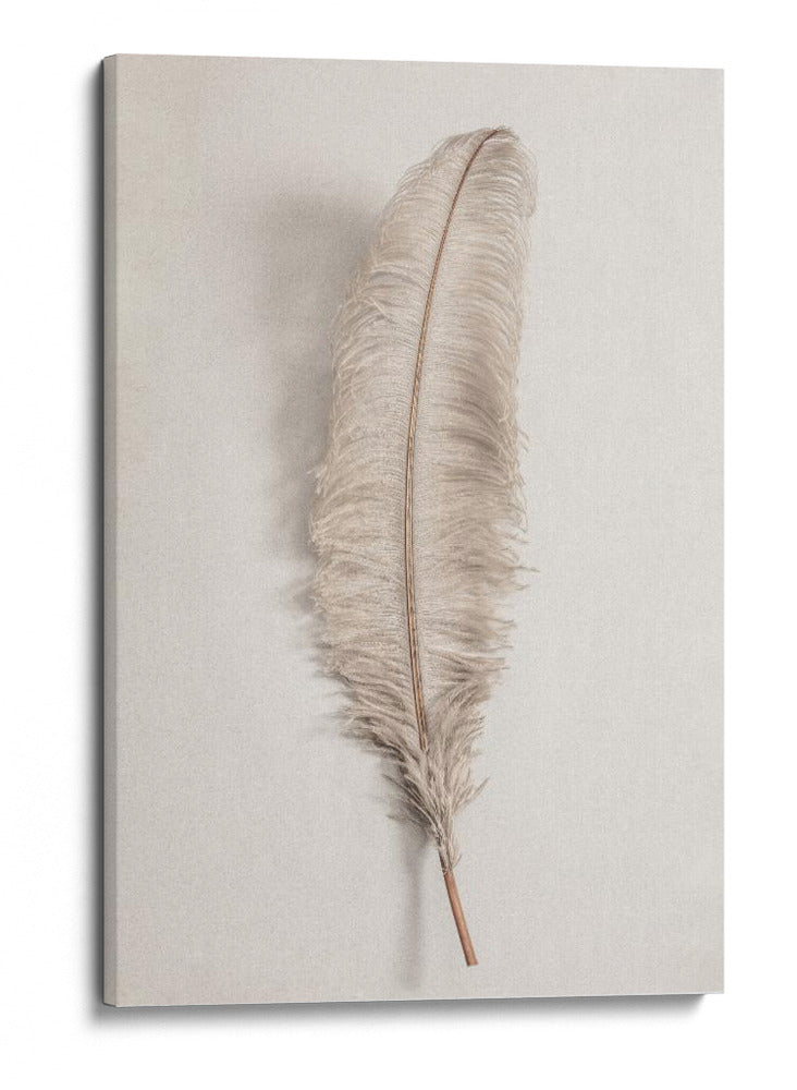 Pluma delicada y ligera - Fluidys Studio III | Cuadro decorativo de Canvas Lab