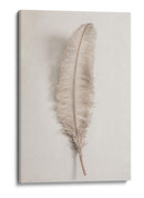 Pluma delicada y ligera - Fluidys Studio III | Cuadro decorativo de Canvas Lab