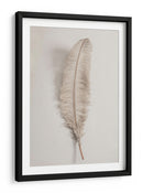 Pluma delicada y ligera - Fluidys Studio III | Cuadro decorativo de Canvas Lab