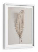 Pluma delicada y ligera - Fluidys Studio III | Cuadro decorativo de Canvas Lab