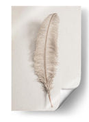 Pluma delicada y ligera - Fluidys Studio III | Cuadro decorativo de Canvas Lab
