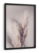 Suaves plumas lindas de la Pampa - Fluidys Studio III | Cuadro decorativo de Canvas Lab