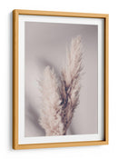 Suaves plumas lindas de la Pampa - Fluidys Studio III | Cuadro decorativo de Canvas Lab