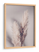 Suaves plumas lindas de la Pampa - Fluidys Studio III | Cuadro decorativo de Canvas Lab