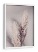 Suaves plumas lindas de la Pampa - Fluidys Studio III | Cuadro decorativo de Canvas Lab