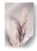 Suaves plumas lindas de la Pampa - Fluidys Studio III | Cuadro decorativo de Canvas Lab