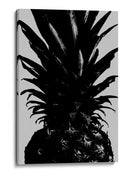 Piña negra intensa - Fluidys Studio III | Cuadro decorativo de Canvas Lab