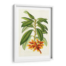 Rododendro Tropical I - Horto Van Houtteano | Cuadro decorativo de Canvas Lab