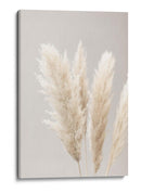 Suaves plumas bonitas de la Pampa - Fluidys Studio III | Cuadro decorativo de Canvas Lab