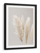 Suaves plumas bonitas de la Pampa - Fluidys Studio III | Cuadro decorativo de Canvas Lab