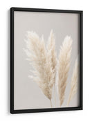 Suaves plumas bonitas de la Pampa - Fluidys Studio III | Cuadro decorativo de Canvas Lab