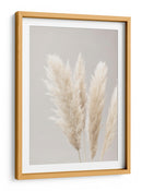 Suaves plumas bonitas de la Pampa - Fluidys Studio III | Cuadro decorativo de Canvas Lab