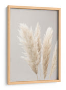 Suaves plumas bonitas de la Pampa - Fluidys Studio III | Cuadro decorativo de Canvas Lab