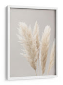 Suaves plumas bonitas de la Pampa - Fluidys Studio III | Cuadro decorativo de Canvas Lab