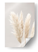 Suaves plumas bonitas de la Pampa - Fluidys Studio III | Cuadro decorativo de Canvas Lab