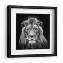 Retrato de un majestuoso león sereno - Christian Meermann | Cuadro decorativo de Canvas Lab