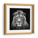 Retrato de un majestuoso león sereno - Christian Meermann | Cuadro decorativo de Canvas Lab