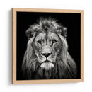 Retrato de un majestuoso león sereno - Christian Meermann | Cuadro decorativo de Canvas Lab