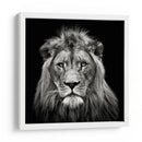 Retrato de un majestuoso león sereno - Christian Meermann | Cuadro decorativo de Canvas Lab