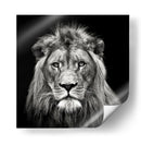 Retrato de un majestuoso león sereno - Christian Meermann | Cuadro decorativo de Canvas Lab