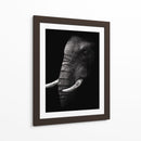 Perfil de elefante poderoso - WildPhotoArt | Cuadro decorativo de Canvas Lab