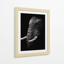 Perfil de elefante poderoso - WildPhotoArt | Cuadro decorativo de Canvas Lab