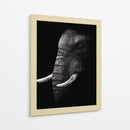 Perfil de elefante poderoso - WildPhotoArt | Cuadro decorativo de Canvas Lab