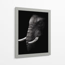 Perfil de elefante poderoso - WildPhotoArt | Cuadro decorativo de Canvas Lab