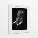 Perfil de elefante poderoso - WildPhotoArt | Cuadro decorativo de Canvas Lab