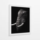 Perfil de elefante poderoso - WildPhotoArt | Cuadro decorativo de Canvas Lab