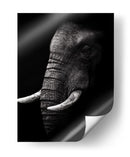 Perfil de elefante poderoso - WildPhotoArt | Cuadro decorativo de Canvas Lab