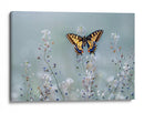 Pradera de mariposas amarillas - Petar Sabol | Cuadro decorativo de Canvas Lab