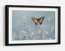 Pradera de mariposas amarillas - Petar Sabol | Cuadro decorativo de Canvas Lab