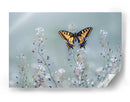 Pradera de mariposas amarillas - Petar Sabol | Cuadro decorativo de Canvas Lab