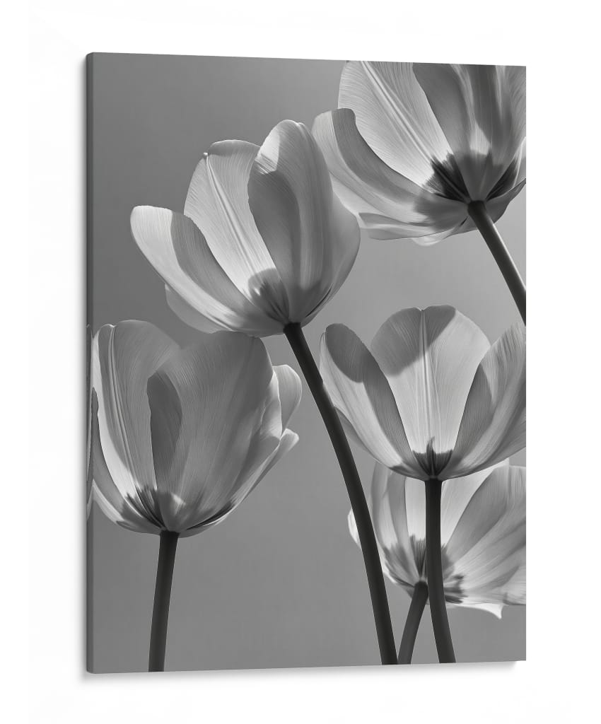 Flores en blanco y negro - DIEGO D L | Cuadro decorativo de Canvas Lab