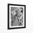 Flores en blanco y negro - DIEGO D L | Cuadro decorativo de Canvas Lab
