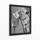 Flores en blanco y negro - DIEGO D L | Cuadro decorativo de Canvas Lab