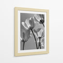 Flores en blanco y negro - DIEGO D L | Cuadro decorativo de Canvas Lab