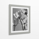 Flores en blanco y negro - DIEGO D L | Cuadro decorativo de Canvas Lab