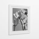 Flores en blanco y negro - DIEGO D L | Cuadro decorativo de Canvas Lab