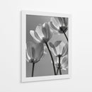 Flores en blanco y negro - DIEGO D L | Cuadro decorativo de Canvas Lab