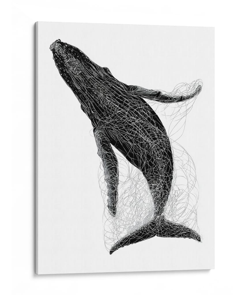 Ballena en líneas negras - DIEGO D L | Cuadro decorativo de Canvas Lab