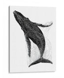 Ballena en líneas negras - DIEGO D L | Cuadro decorativo de Canvas Lab