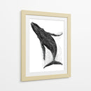 Ballena en líneas negras - DIEGO D L | Cuadro decorativo de Canvas Lab